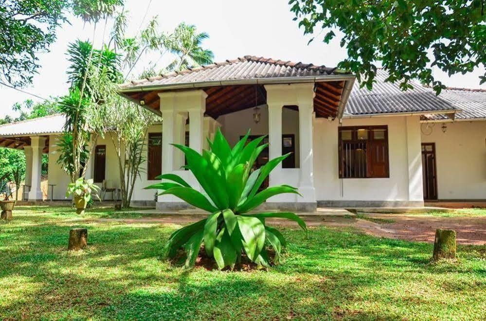 Villa Helvetia Galle Zewnętrze zdjęcie